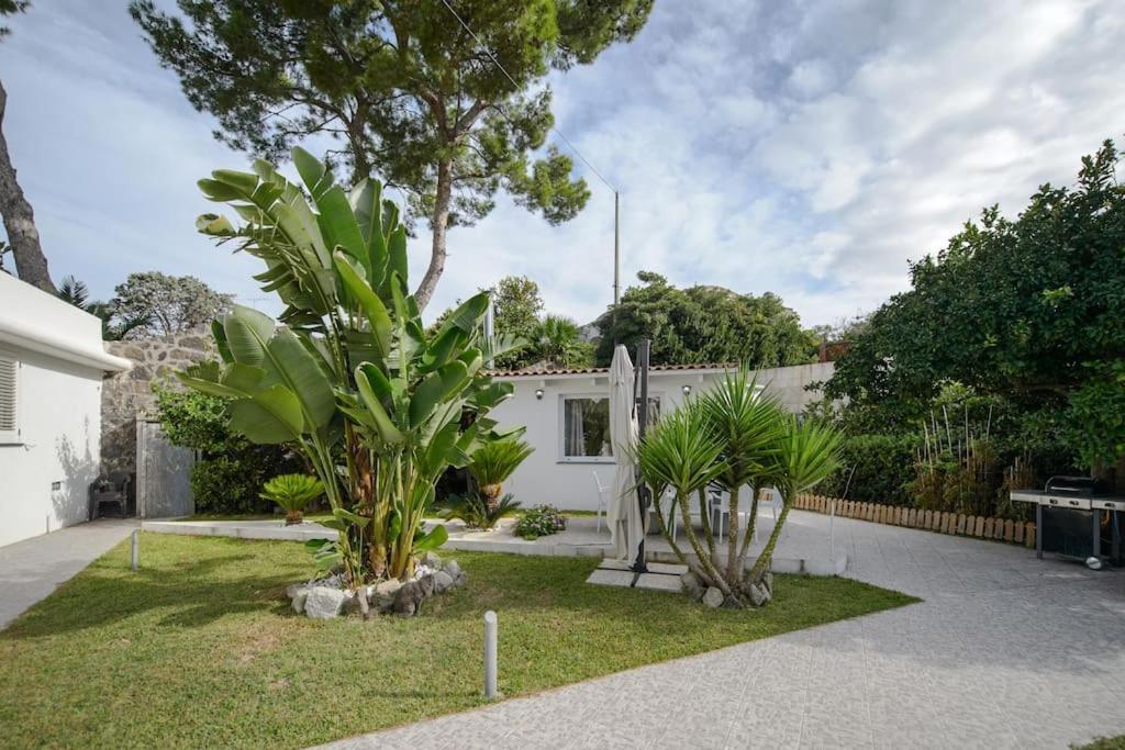Casa Vacanza M&C Ischia Forio di Ischia Εξωτερικό φωτογραφία
