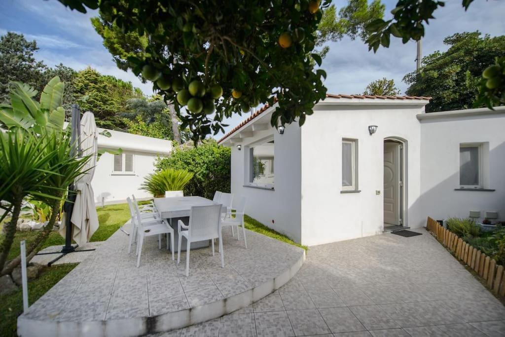 Casa Vacanza M&C Ischia Forio di Ischia Εξωτερικό φωτογραφία